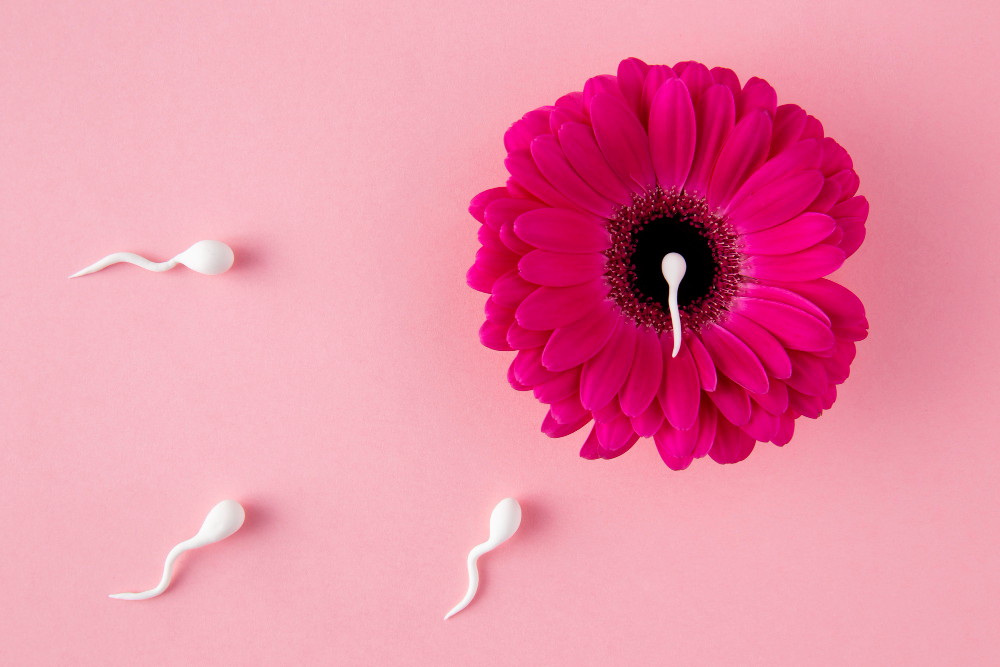 Identificarea momentului ovulației